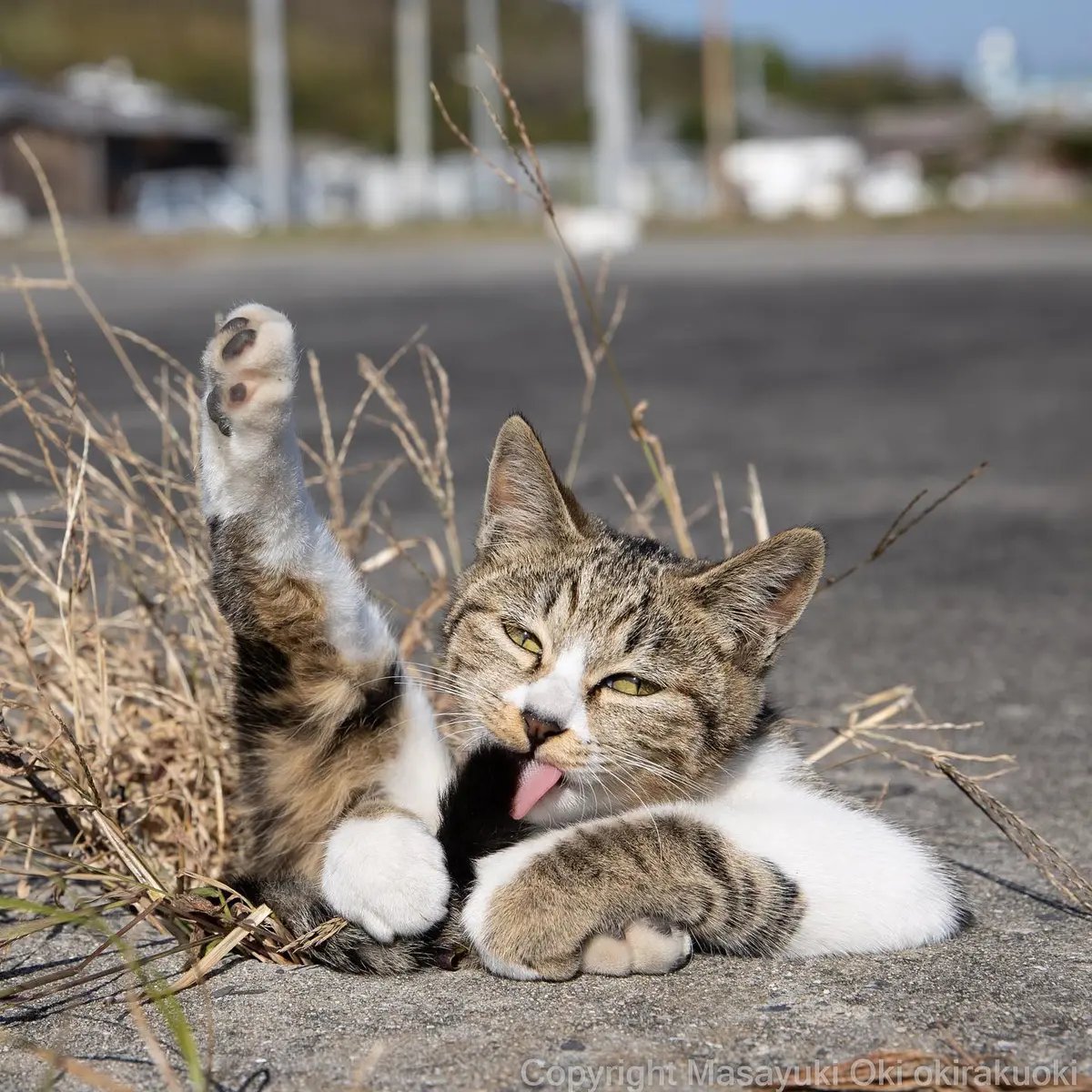 🙏 북향 지장보살(기타무키 지조손) 이미지 14